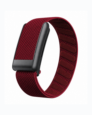 SuperKnit Crimson replacement strap in a loop display on a white background